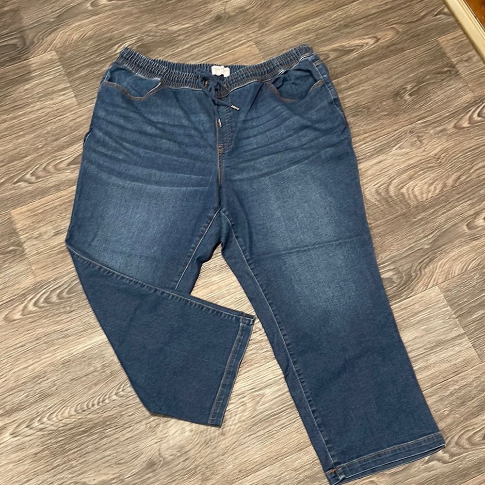 Lane Bryant Drawstring Jeans Size 24W